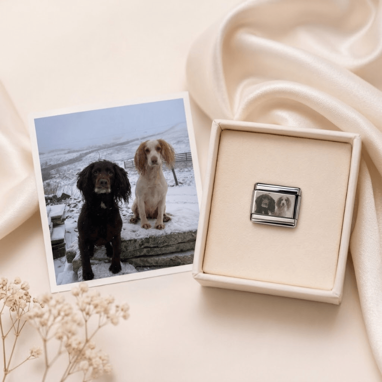 Build Your Own Pet Charm Bracelet